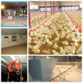 Automatische Geflügel-Ausrüstung der hohen Qualität für Broiler von China